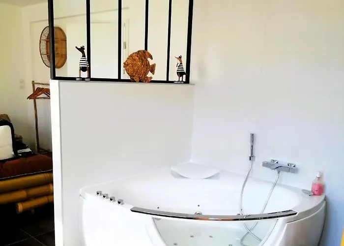 Πανσιόν Aux Couleurs D'alsace 4*